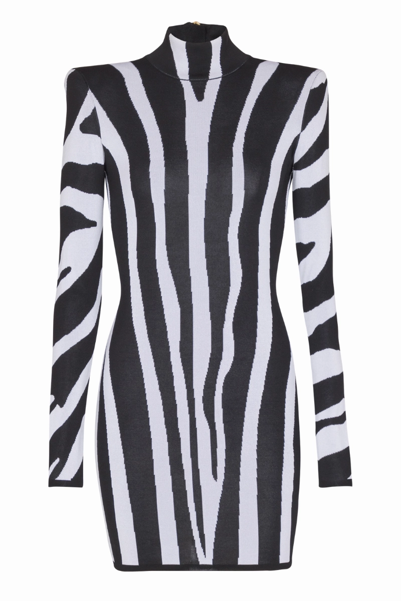 Lightweight Material Zebra Intarsia Knit Dress