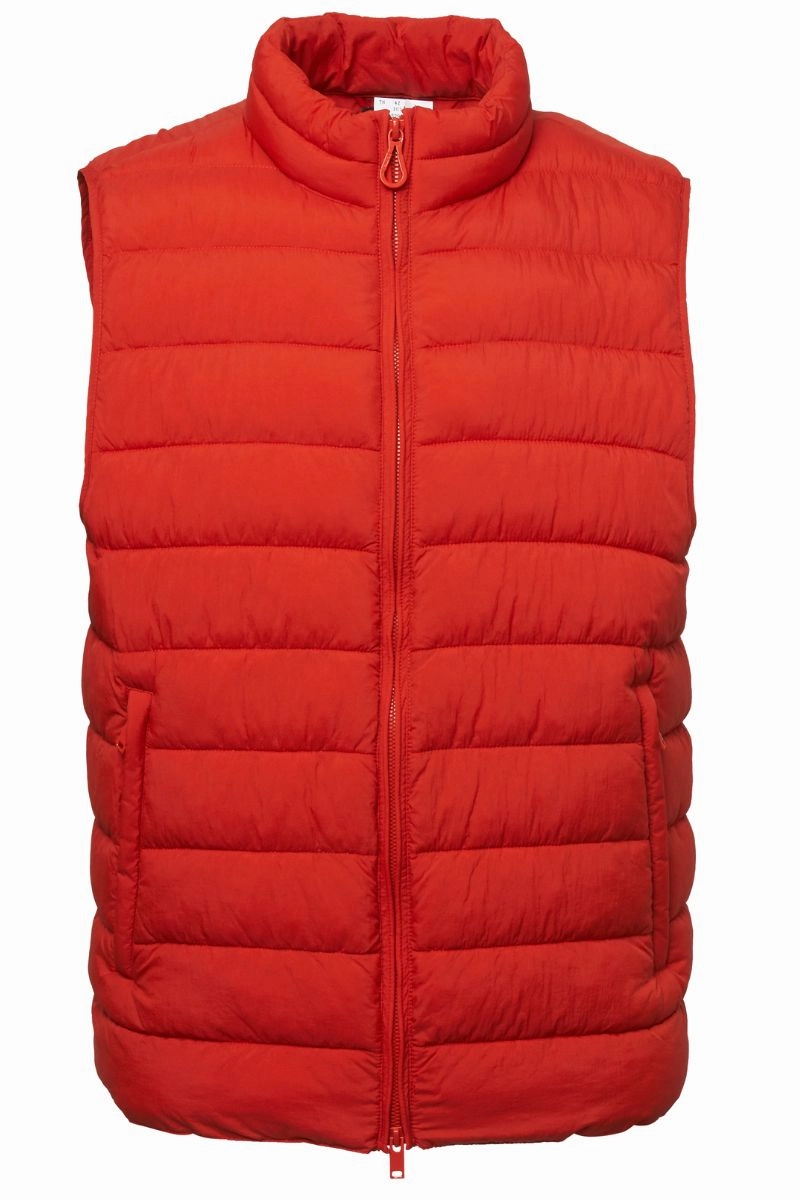 Gary Vest Cozy Design