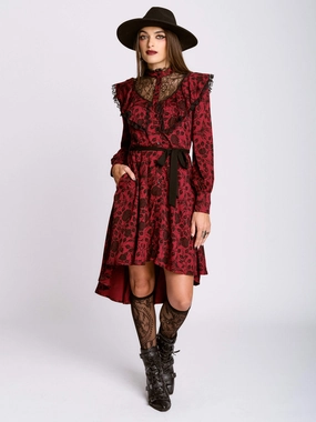 Delicate Lines Sweet Mood Sigil Rose Victorian Lace Dress
